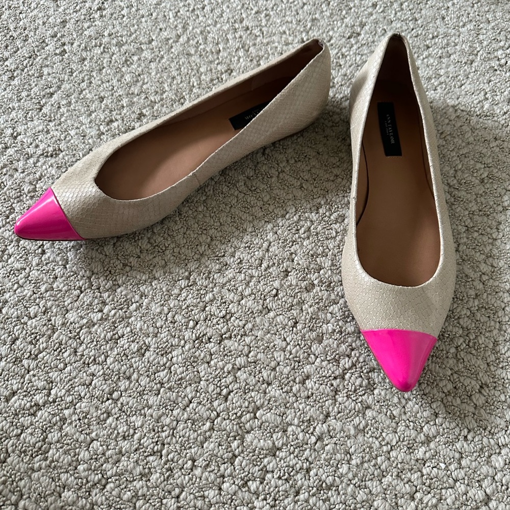 Ann Taylor pointed toe flat